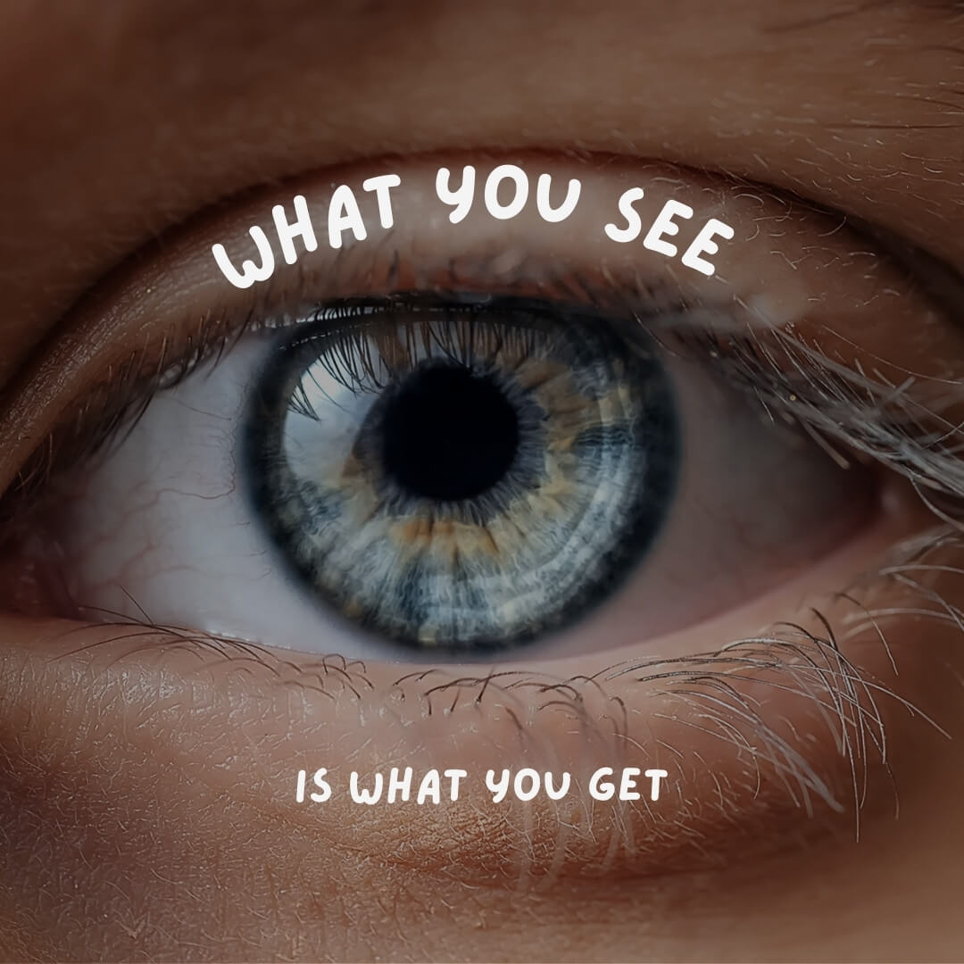 What You See is What You Get