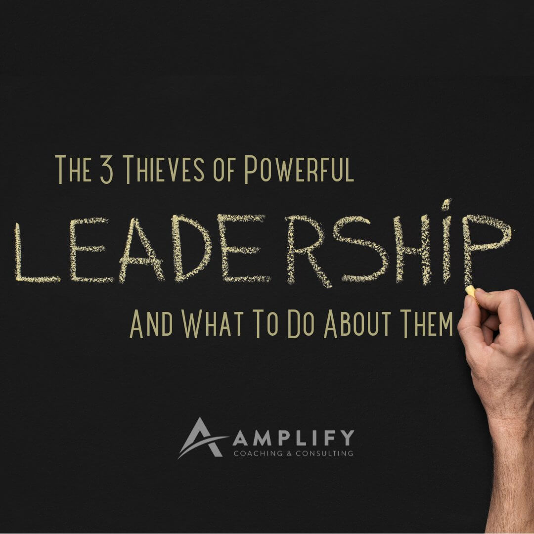 The 3 Thieves of Powerful Leadership And What To Do About Them