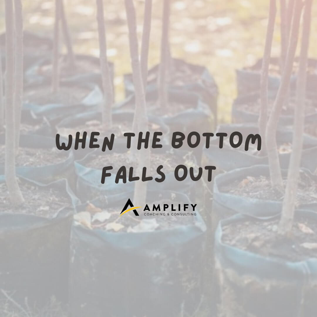 When The Bottom Falls Out
